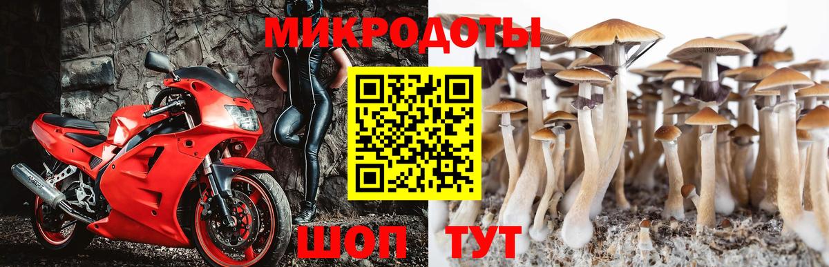 Светлоград  Галлюциногенные грибы ЛСД  Вход с VPN  Псилоцибиновые грибы Psilocybine cubensis 