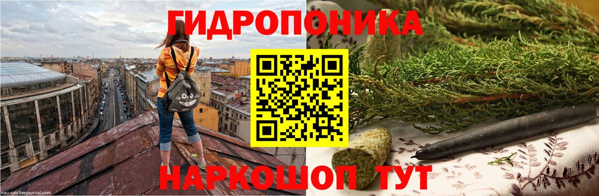 Каннабис индика Светлоград